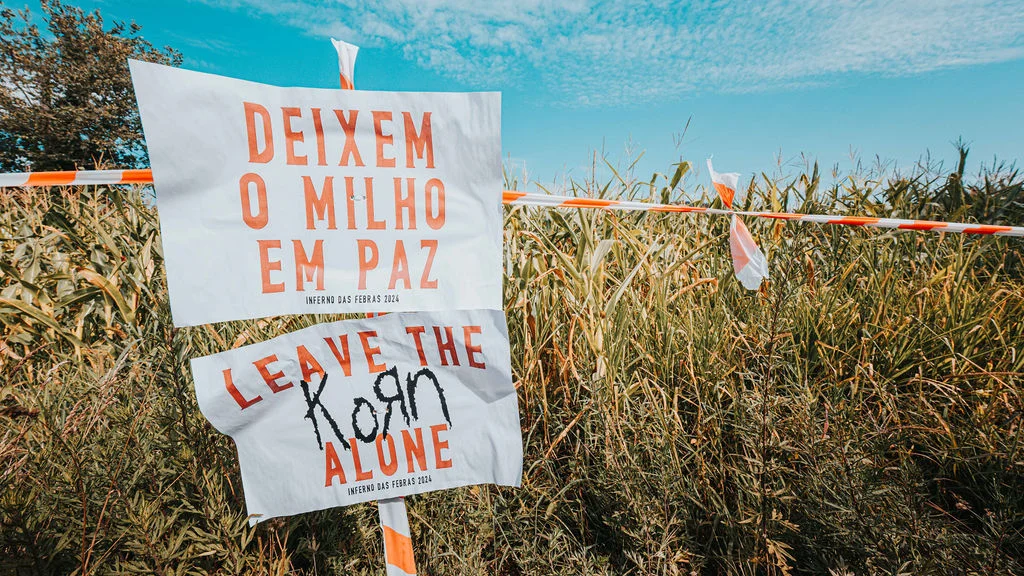Campismo 2